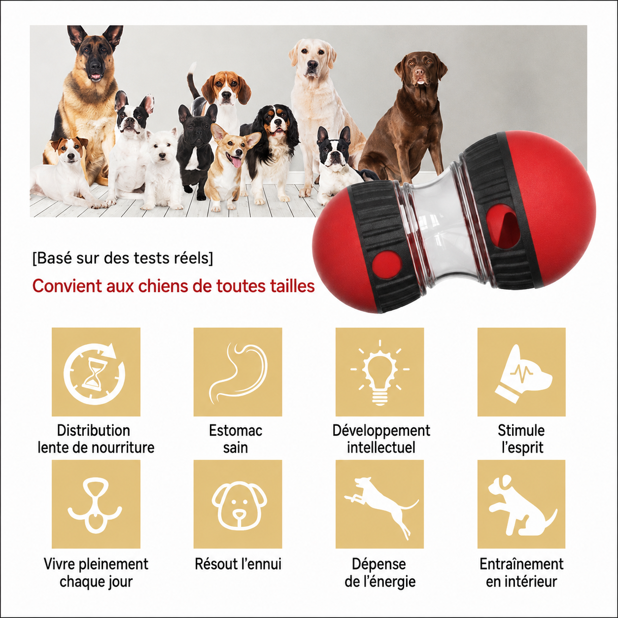 Distributeur nourriture stimulant