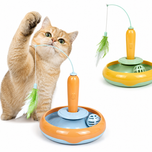 Jeux 2 en 1 pour chat