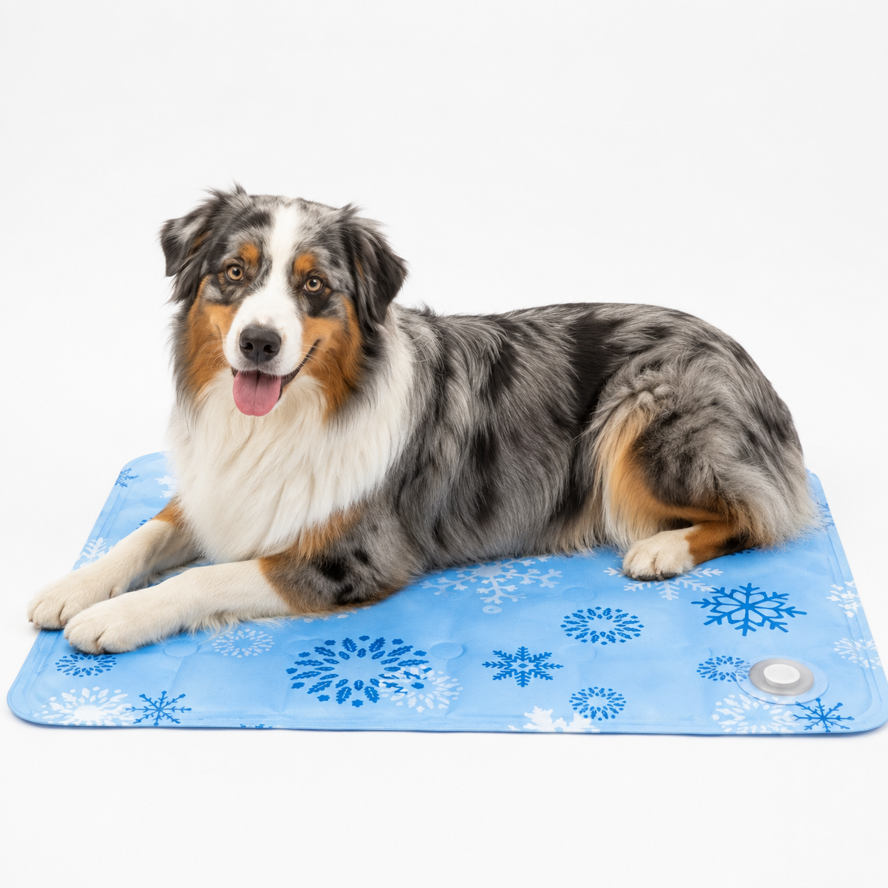 Tapis de refroidissement pour animaux