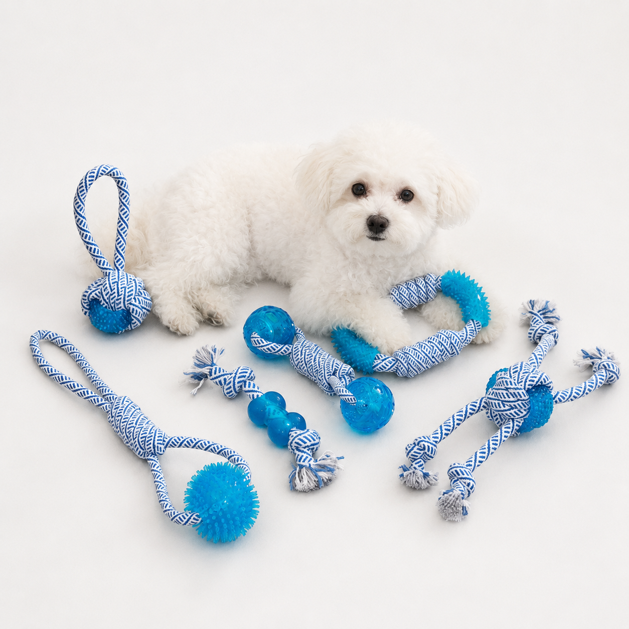 Jeux en corde pour chien