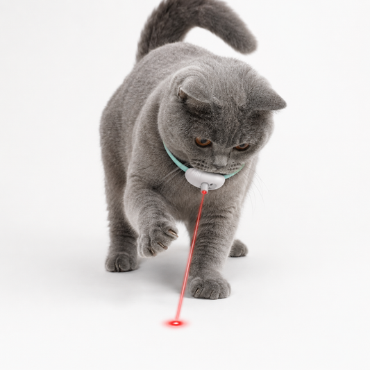 Collier laser