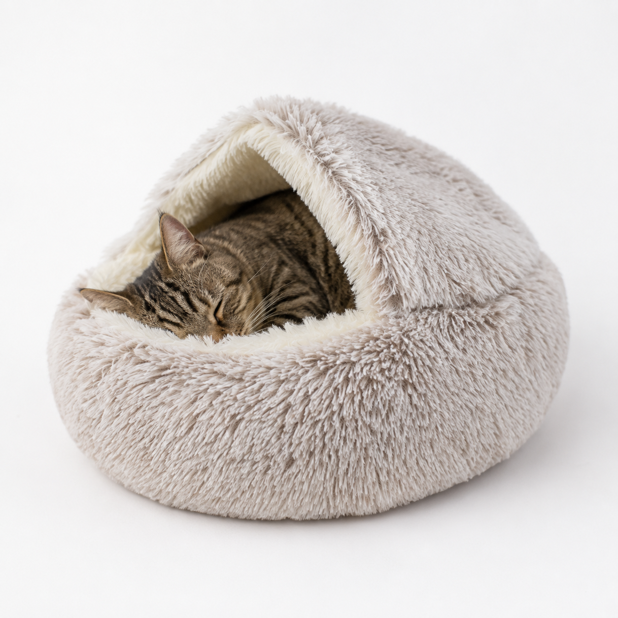 Cabane confort pour chats