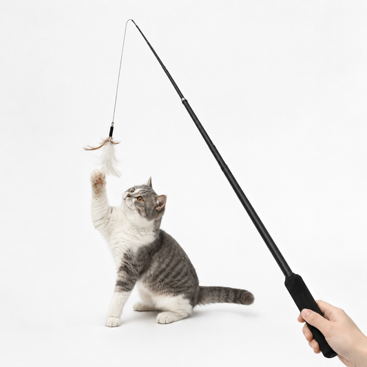 Jouet canne à pêche pour chat