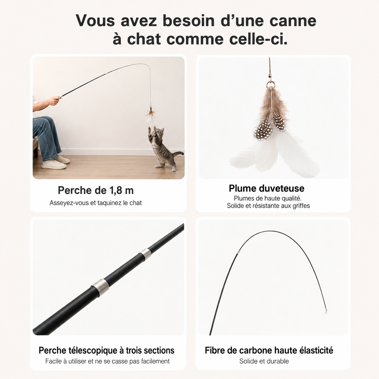 Jouet canne à pêche pour chat
