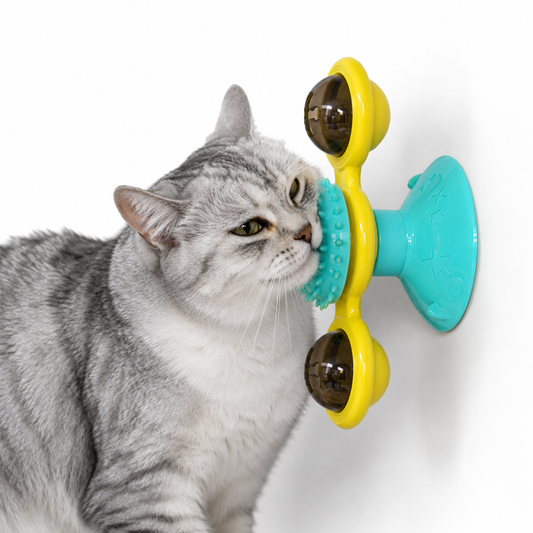 Jeu rotatif pour chat