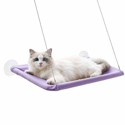 Hamac à ventouse pour chat